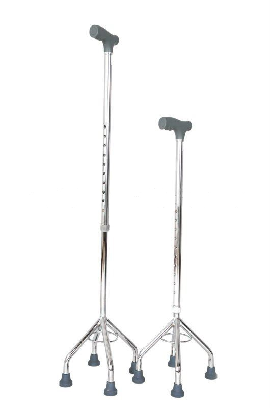 TEH Baston quadruped  